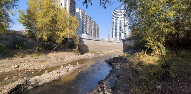 Барнаулка в устье обмелела так, что обнажились останки старого моста