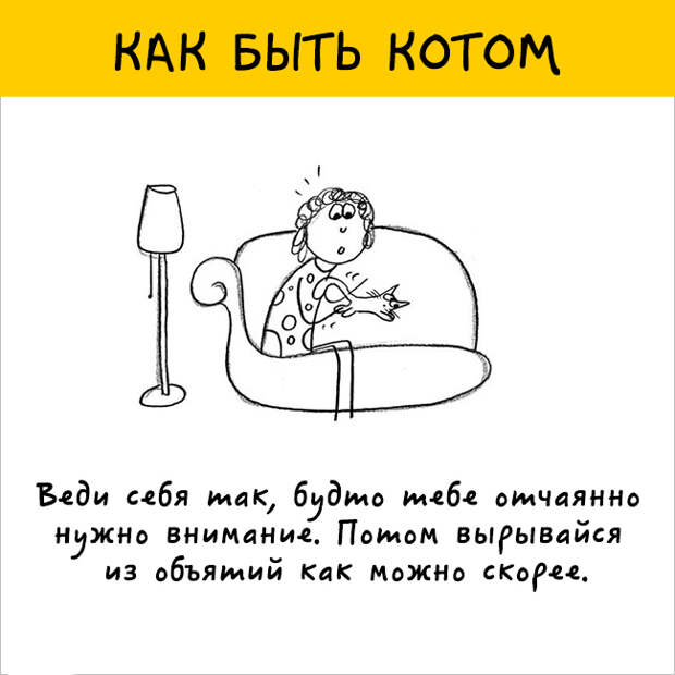 как правильно быть котом