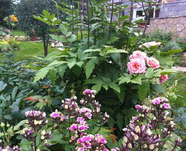 Сад на Урале Сад в Екатеринбурге