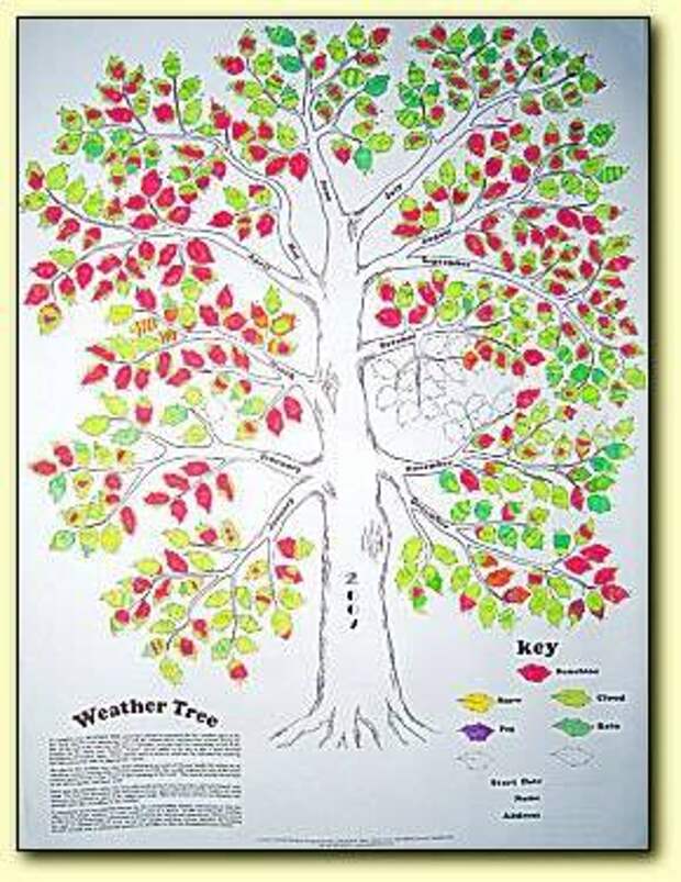 Английский язык дерево проект. Дерево погоды. Нарисуй дерево погоды. Нарисуйте дерево погоды. Дерево погоды проект.
