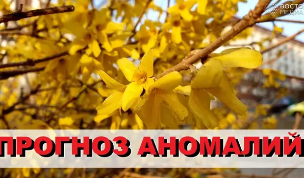 Прогноз аномалий. Прогноз аномалий