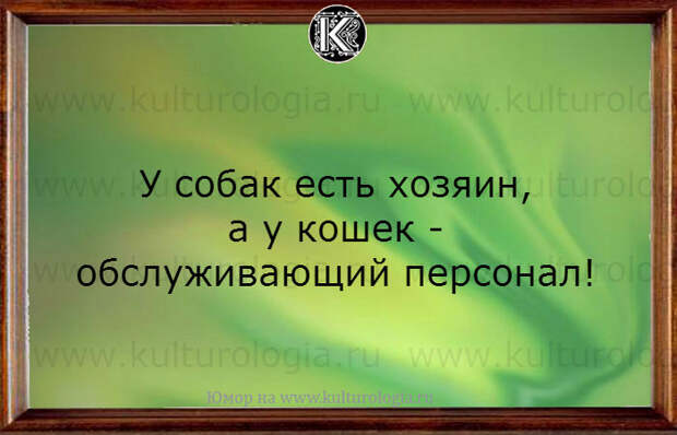 20 весёлых открыток для хорошего настроения, которые улыбнут любого, даже в самый пасмурный день