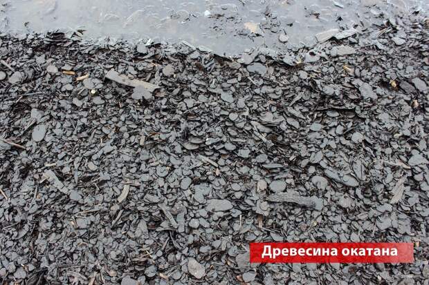 Источник vk.com/wall438554271_173