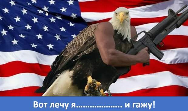 Теперь американцы действуют в 1000 раз быстрее. Вопрос: А насколько мудрее? Ну, или хотя бы умнее?