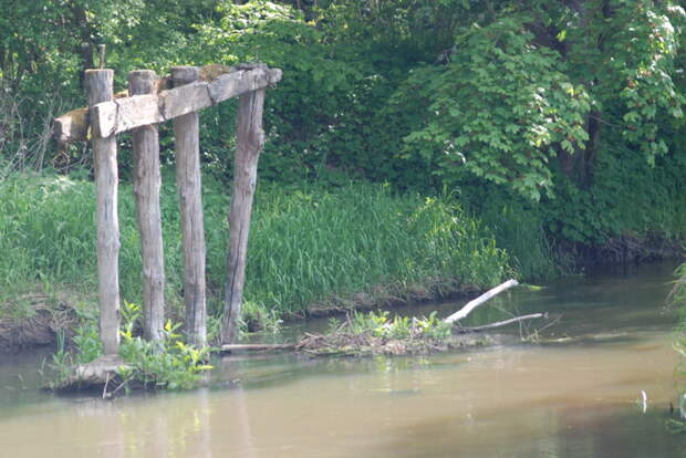 У мостов также можно встретить голавля природа, рыбалка