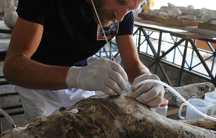 Страшные находки под застывшей лавой Везувия