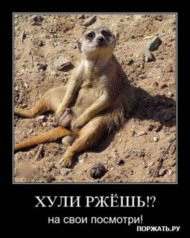 Демотиваторы по русски, очень остроумно.