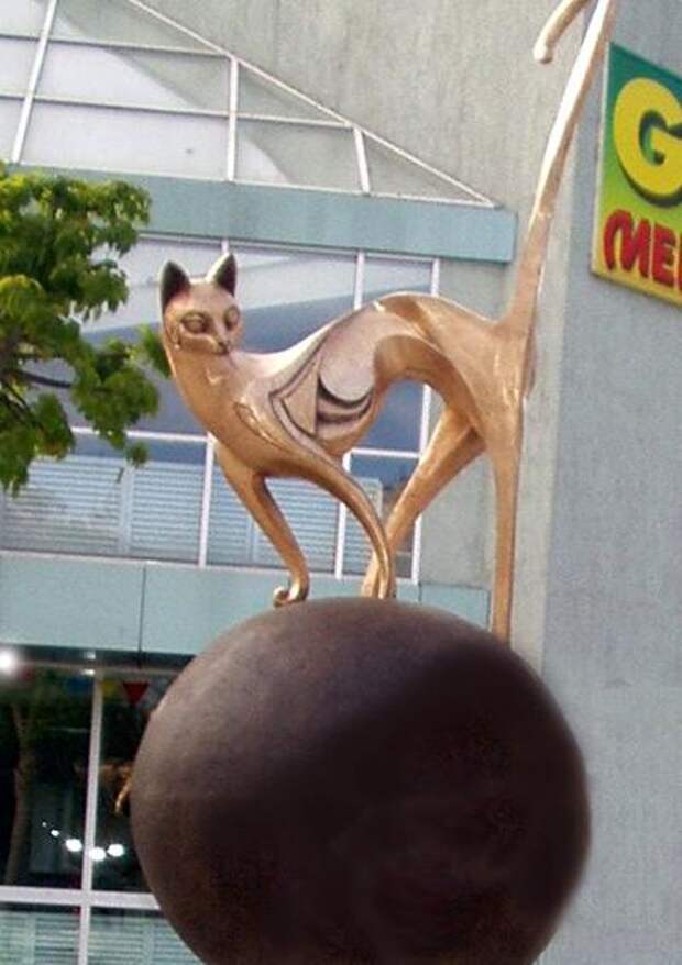 Кошка, Караганда, Казахстан. Кошка, Караганда, Казахстан.