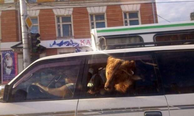 Все в порядке, вы в России!