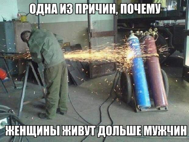 Смешные картинки с надписями прикол, юмор