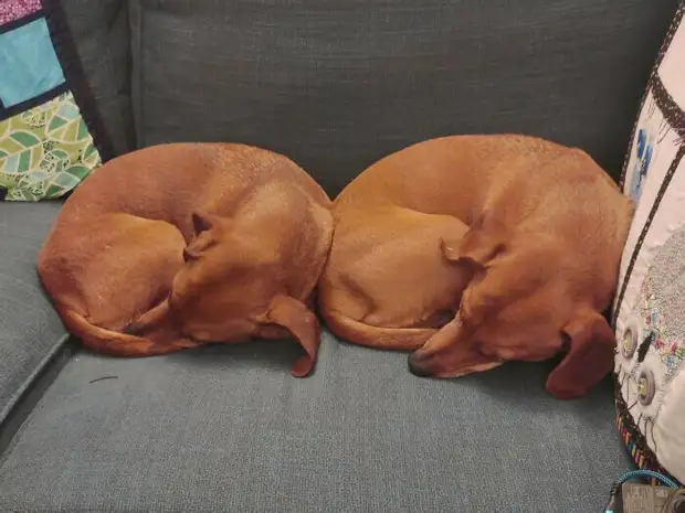 ���� � ������� ��� �������� ���������� � ���� ��������