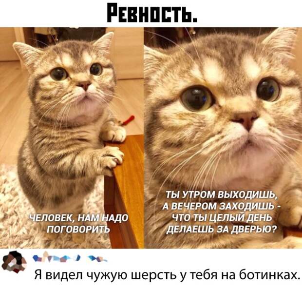 www.vsyako.net
