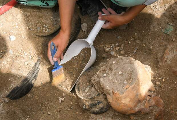 В литовском Шяуляе выкопали останки 26 советских солдат