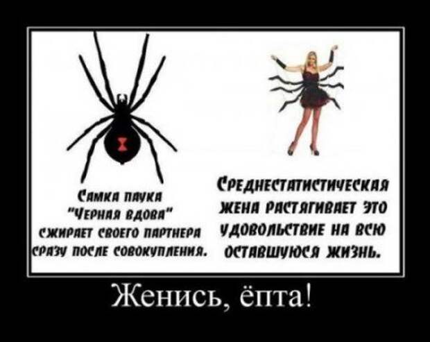 Демотиваторы приколя дня.