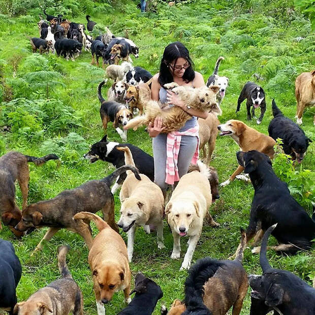 land-of-stray-dogs-territorio-de-zaguates-costa-rica-11