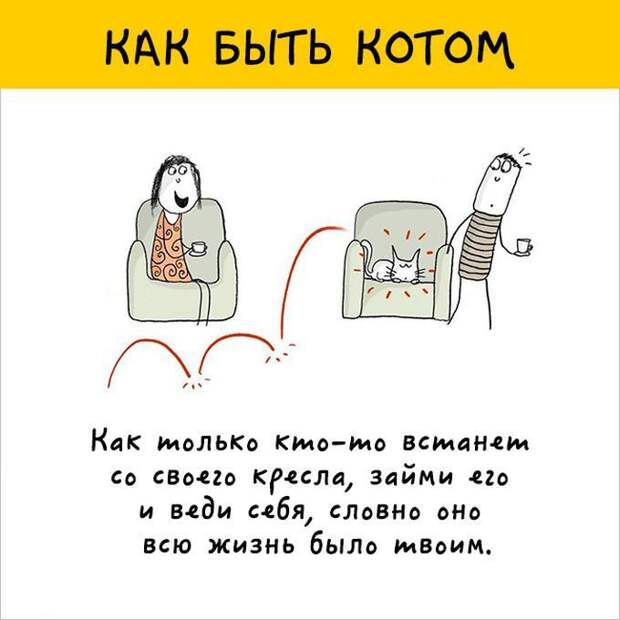 12 картинок с инструкциями о том, как быть котом инструкция, кот, юмор