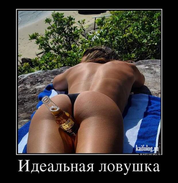 Демотиваторы про пиво (60 штук)
