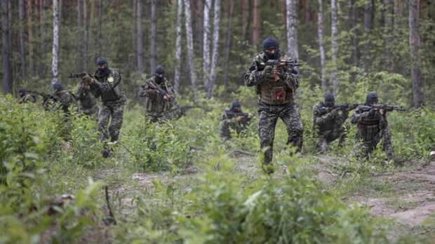 Воюющие на Украине наемники рано или поздно станут угрозой для Запада