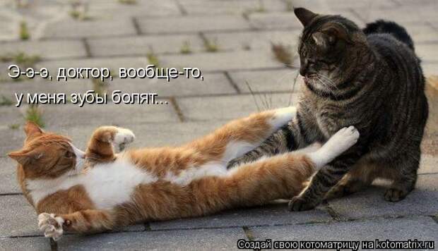 Котоматрица - Э-э-э, доктор, вообще-то,  у меня зубы болят...