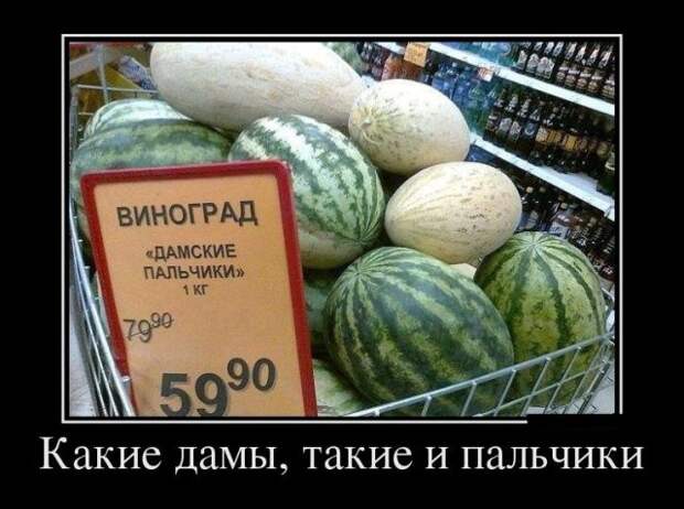Демотиваторы (30 фото)