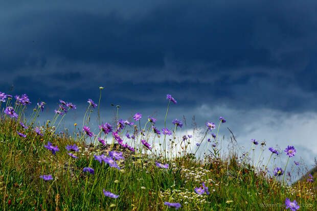 Озеро Семицветное на Кавказе Озеро Семицветное на Кавказе