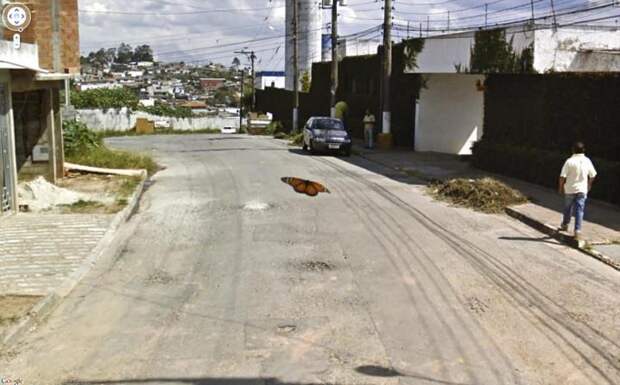 Google street view (35)