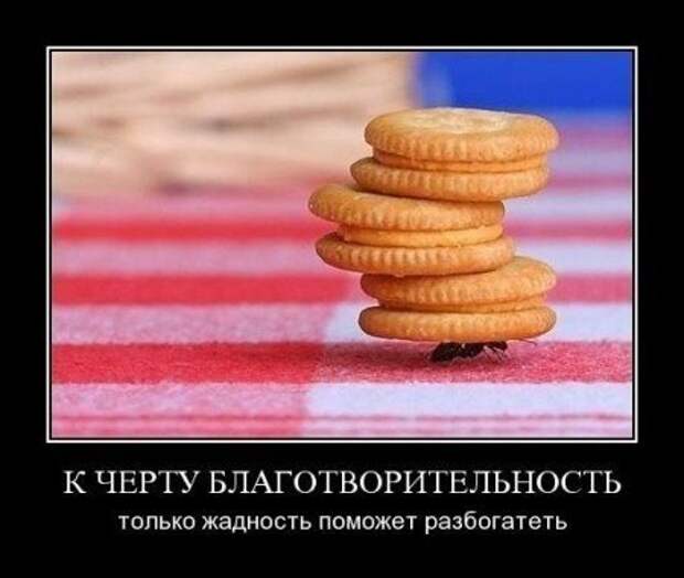 Демотиваторы еще.