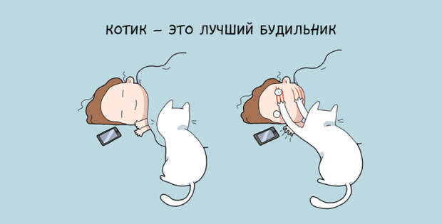 забавные причины завести кота