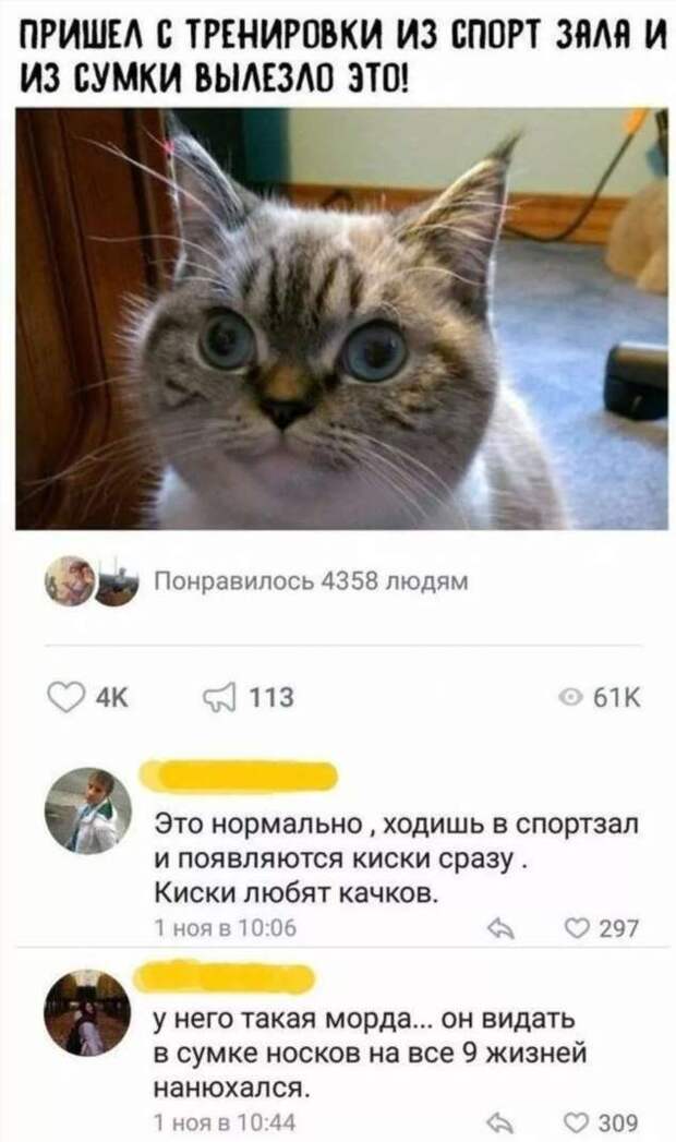 Смешные комментарии. Подборка chert-poberi-kom-chert-poberi-kom-03520230052020-3 картинка chert-poberi-kom-03520230052020-3