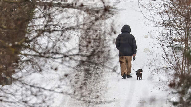 Россиянам напомнили о штрафах за нарушение правил выгула животных