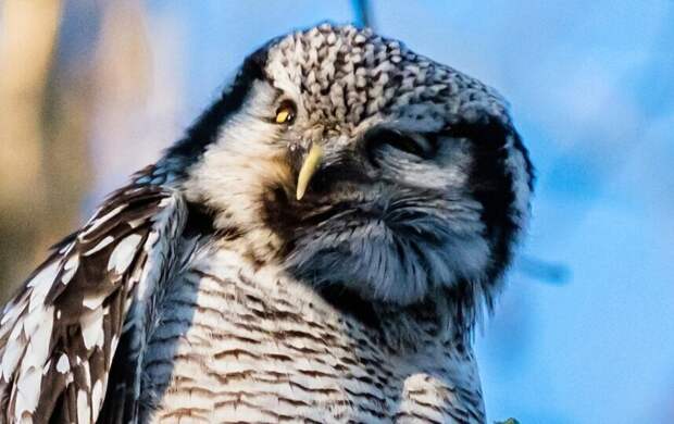 Солнечно и тепло. Какая погода ждёт Петербург 7 марта