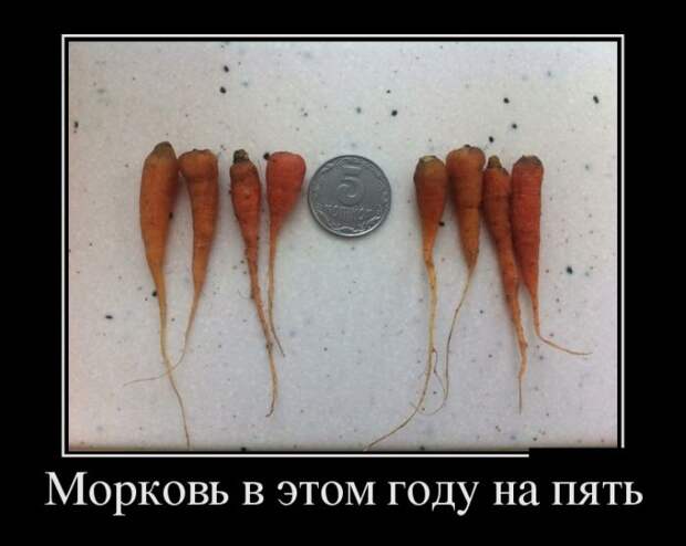 Демотиваторы демотиваторы, прикол, смех, юмор