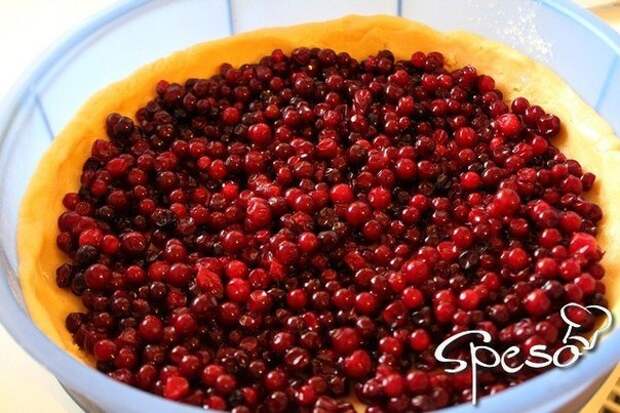 wpid UhAvII2n92I Невероятно вкусный брусничный пирог, который скрасит холодный осенний вечер