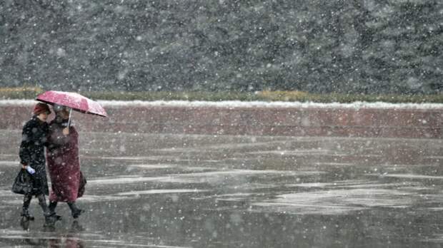 Синоптик Шувалов: в конце недели в Москве возможен снегопад