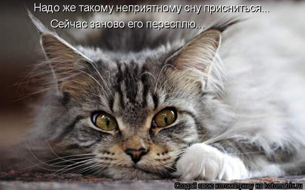 Котоматрица - Надо же такому неприятному сну присниться... Сейчас заново его переспл