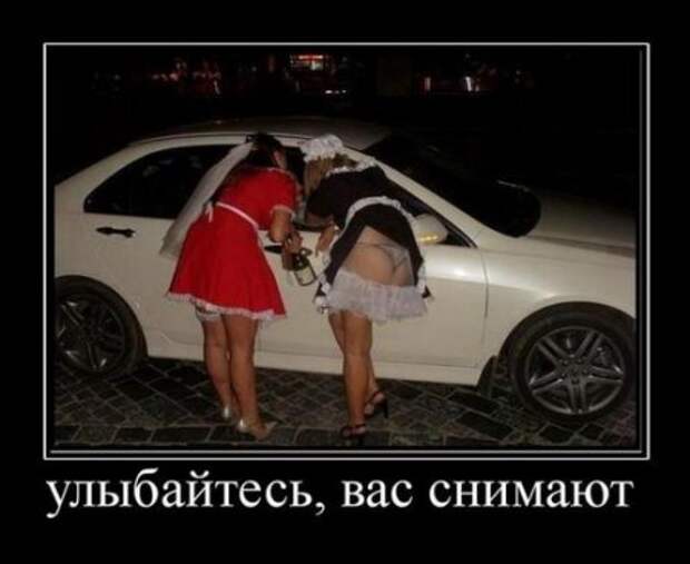 Демотиваторы, юмор дня, фотки с прикольными подписями.