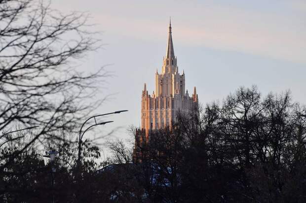 В МИД назвали число латиноамериканских наемников в ВСУ