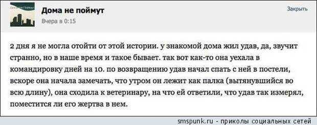 У знакомой дома жил удав