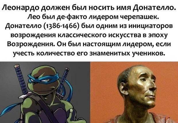 Черепашкам-ниндзя дали перепутанные имена Черепашкам-ниндзя дали перепутанные имена