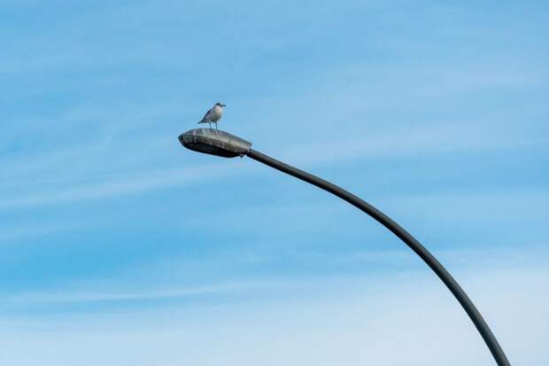 Неудачливый охотник за медью обесточил новую трассу в Приморье