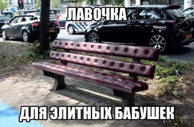 Смешные картинки с подписями  картинки, прикол, юмор