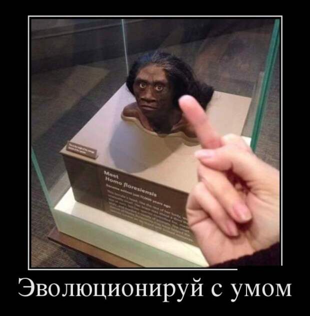 Демотиваторы (30 фото)