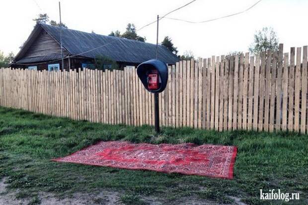 Приколы про ковры (45 фото)