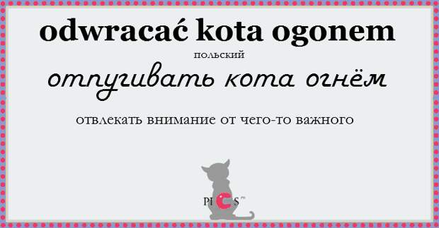 catidiom22