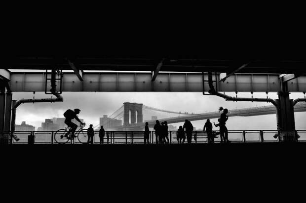 http://www.fubiz.net/wp-content/uploads/2015/10/nycnb-0-900x600.jpg