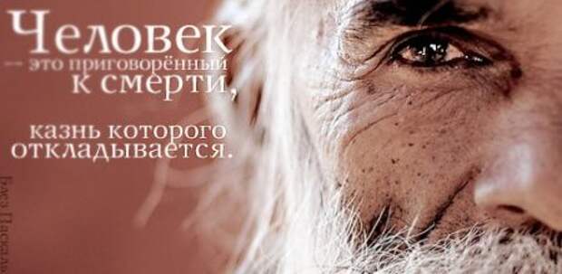 Цитаты о жизни (21 картинка)