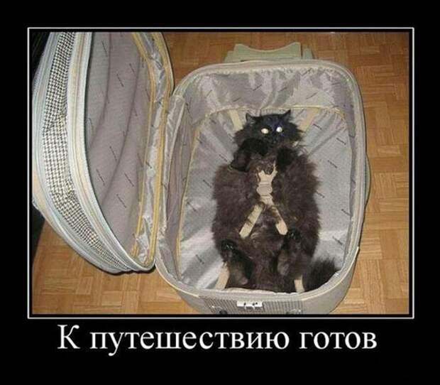 Демотиваторы (30 фото)