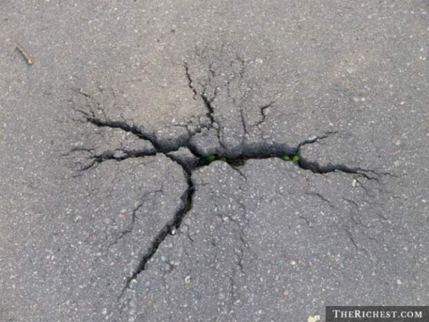 Сумасшедшие суеверия со всего мира Сумасшедшие суеверия со всего мира