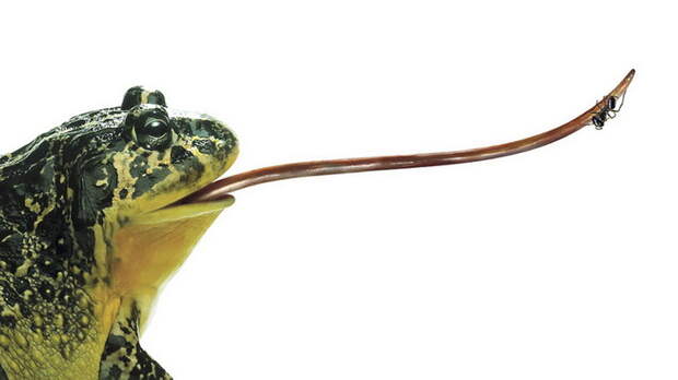 1357981447_00007 (700x393, 45Kb)