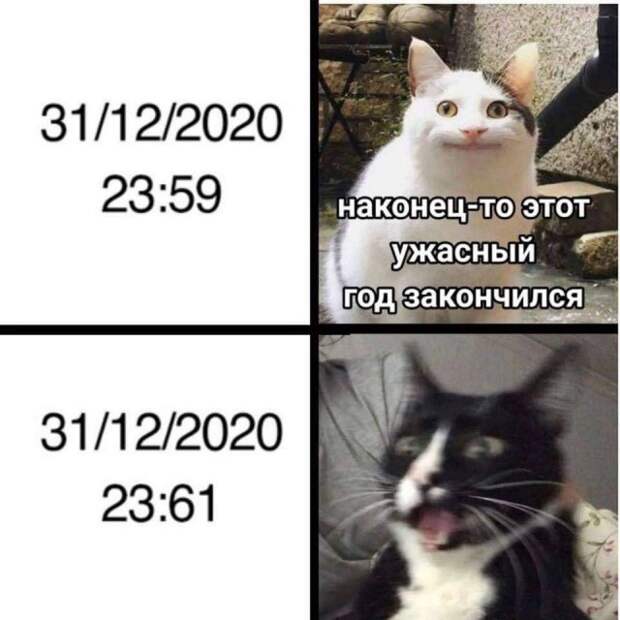 Шутка про новый год